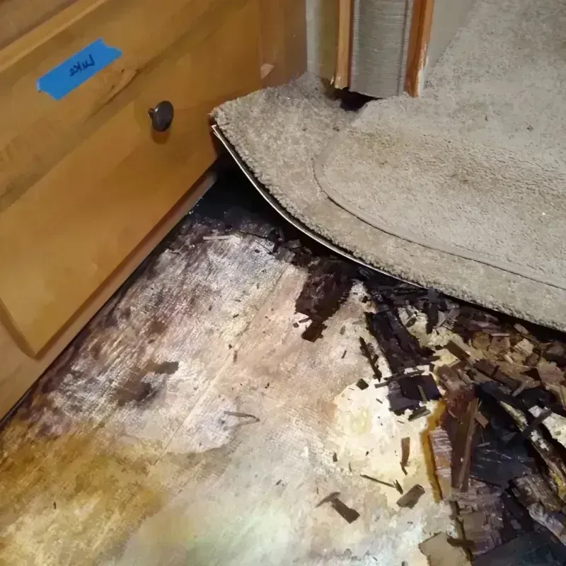 Best Wood Floor Water Damage Service in South Coventry, CT